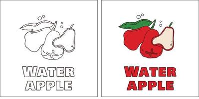 A for Water Apple Hand Drawn Coloring Page vector