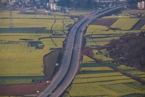 Yellow rapeseed flower field in Luoping, China photo