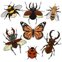 Set of insects isolated on a white background. Vector graphics.
