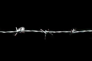 Close-up of a barbed wire fence in a restricted area. photo