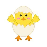 Chick isolated on white background. Vector illustration