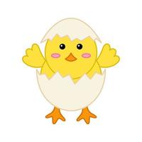 Chick isolated on white background. Vector illustration