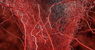 System many small capillaries branch out of the large blood vess photo