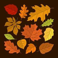 Fallen Autumn Leaves Hand Drawn Icon Creative Layout vector