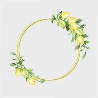 A round wreath  of sweet yellow fresh limes or lemons and pastel green leaves, shows reflex shadow, flat vector hand drawn image.