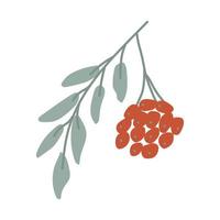 A rowan branch, painted in doodle style. Cozy autumn. Flat vector illustration