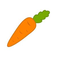 Carrot isolated on white background. Vector illustration