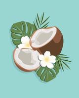 Coconut and leaves with milk splash, as a banner, poster or template. Half coconut with green leaf. Realistic vector illustration isolated on background.