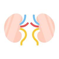 Premium download icon of kidneys vector