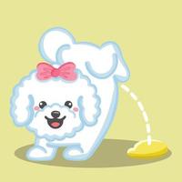shizu, linda orina de perro, linda y alegre mascota