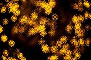 Abstract bokeh light shapes photo