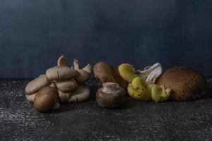 Delicious mushrooms on rustic background photo