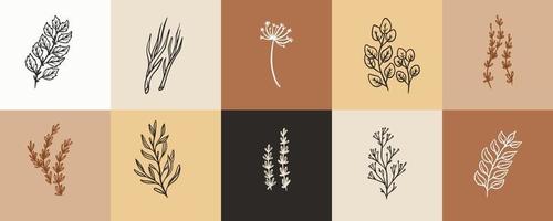 colección de ilustraciones de plantas a base de hierbas para insignias y logotipos antiguos. etiquetas de sello de planta de condimento. conjunto de signos naturales dibujados a mano para productos de etiquetas en un diseño rústico simple.