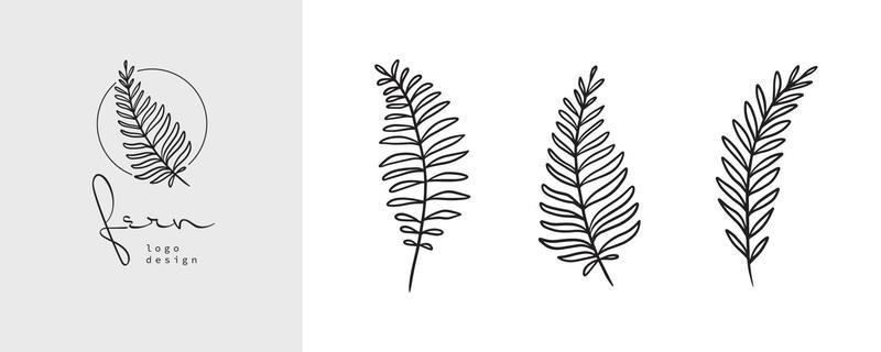 Organic fern illustration and badges logo template. Set of Minimalist stamp labels for tag with isolated fern leaves. Collection of hand drawn natural sign for simple rustic design.