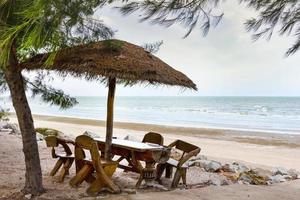 empty chairs and wooden umbrellas on a sandy beach photo