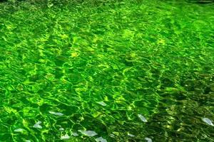 condición verde agua reflejada en el sol foto