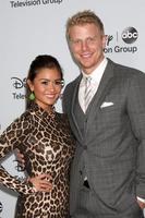 LOS ANGELES, JAN 17 - Catherine Giudici, Sean Lowe at the Disney-ABC Television Group 2014 Winter Press Tour Party Arrivals at The Langham Huntington on January 17, 2014 in Pasadena, CA photo