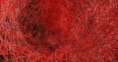 System many small capillaries branch out of the large blood vess photo