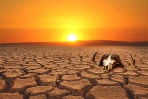 Global warming, drought, lack of rain, no seasonality The land is cracked. concept of environment change and global warming photo
