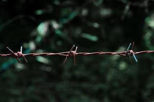 Close-up of a barbed wire fence in a restricted area. photo