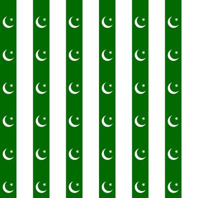 seamless background symbol flag national pakistan