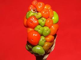 frutas silvestres rojas y amarillas primer plano fondo botánico arum italicum familia araceae impresión de gran tamaño de alta calidad foto