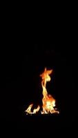 Fire torch burning blast explosions'  jungle fire campfire,