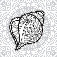 shell coloring page design with mandala background vector