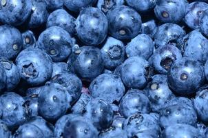 Macro of Fresh Blueberries photo