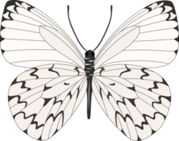 ilustración de mariposa dibujada a mano. png