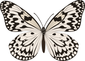 ilustração de borboleta desenhada de mão. png