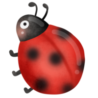 coccinelle de dessin animé mignon png