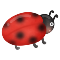 coccinella simpatico cartone animato png