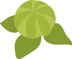 hand gezeichnete dahlienblume png