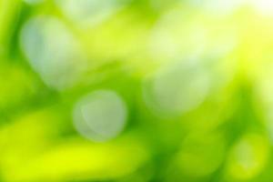 Blurred abstract of green leaf for natural and ecology background concept photo