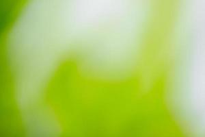 Blurred abstract of green leaf for natural and ecology background concept photo