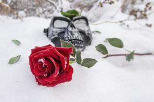 A red rose lies in the snow next to an iron mask in the bushes of an abandoned cemetery photo