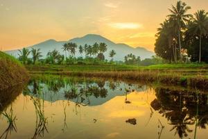 reflejo del paisaje matutino en los campos de arroz azul y las montañas foto