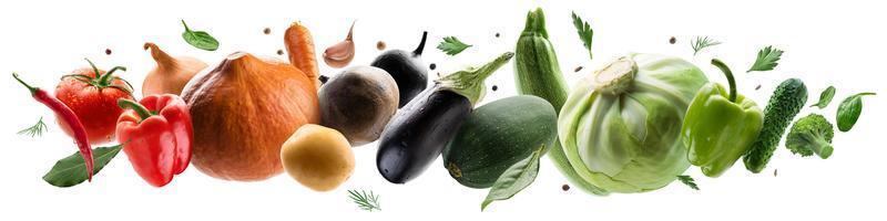 Large set of isolated vegetables on a white background photo