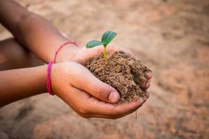 Children planting forests to reduce global warming, Concept afforest. photo