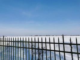 primavera en el parque pavlovsky nieve blanca y árboles fríos foto