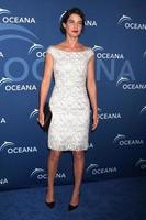 LOS ANGELES, OCT 30 - Cobie Smulders at the Oceanas Partners Awards Gala 2013 at Beverly Wilshire Hotel on October 30, 2013 in Beverly Hills, CA photo