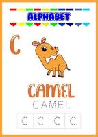 alphabet letter c with camel vector