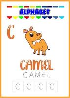 alphabet letter c with camel vector