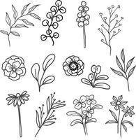 a set of hand drawn isolated plants vector