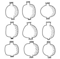 Set of pomegranate  doodle vector