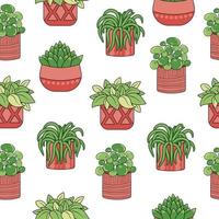 Seamless pattern with home plants ficus, chlorophytum and succulents in pots vector