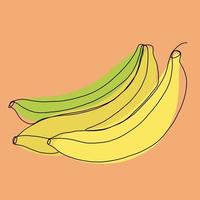 diseño plano de dibujo de línea continua a mano alzada de fruta de plátano simple. vector