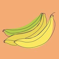 Simplicity banana fruit freehand continuous line drawing flat design. vector