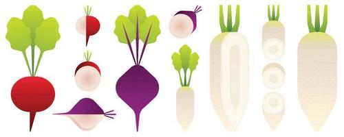 Isolated vegetables and fruits on white background. Vector illustration.